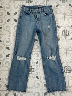 Hudson Remi straight leg 26 petite